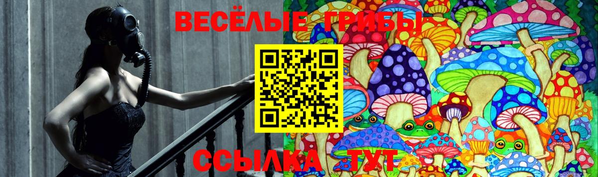 Галлюциногенные грибы мухоморы  Псилоцибиновые грибы Psilocybine cubensis  дарнет шоп  Вход с VPN  Азнакаево 